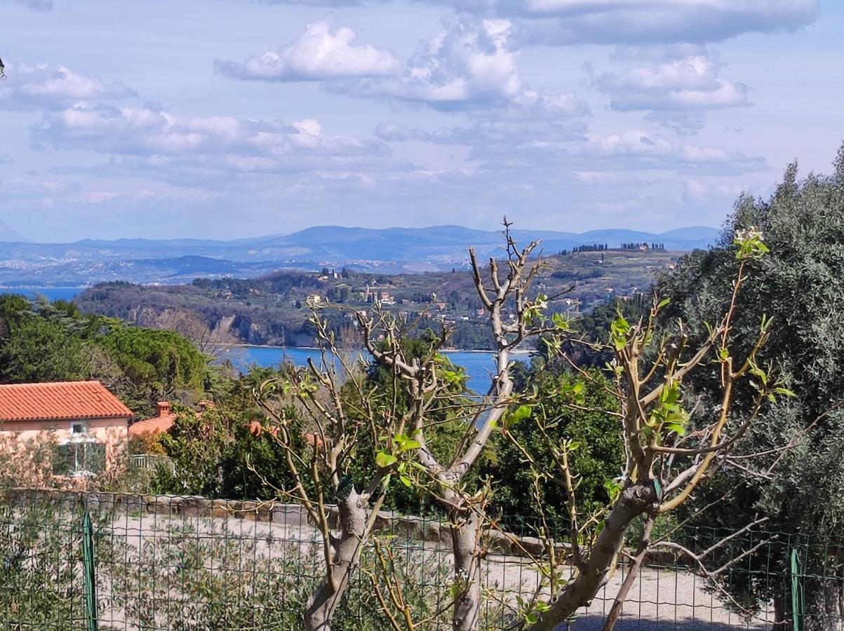 Apartma Sonja 2 Piran Dış mekan fotoğraf